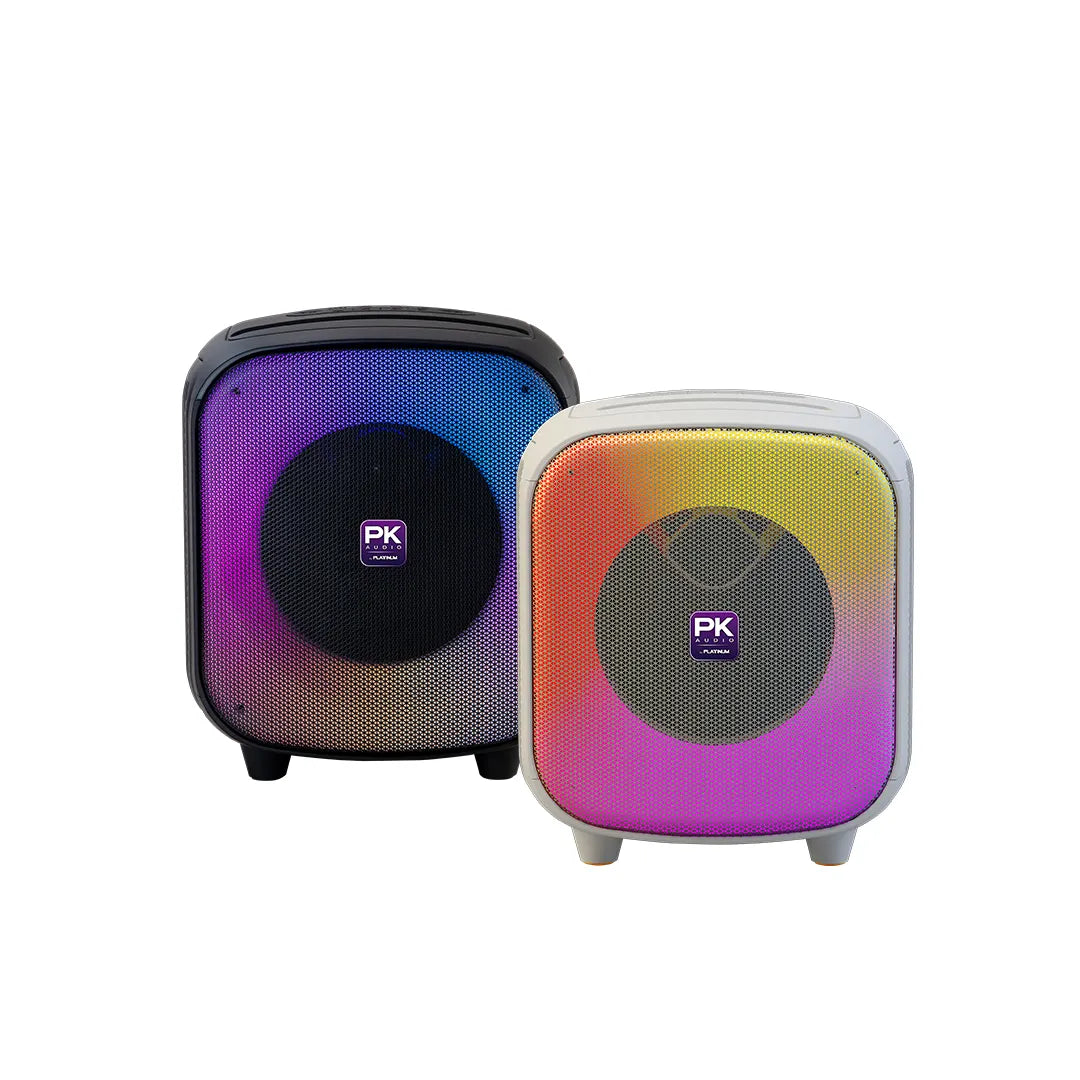 AK120 Bluetooth Party Speaker