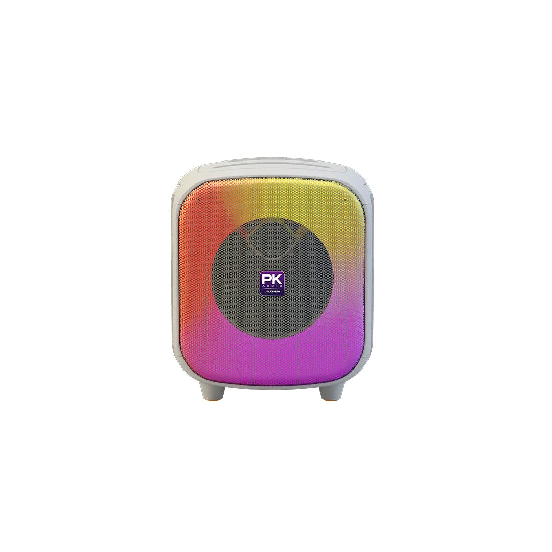 AK120 Bluetooth Party Speaker