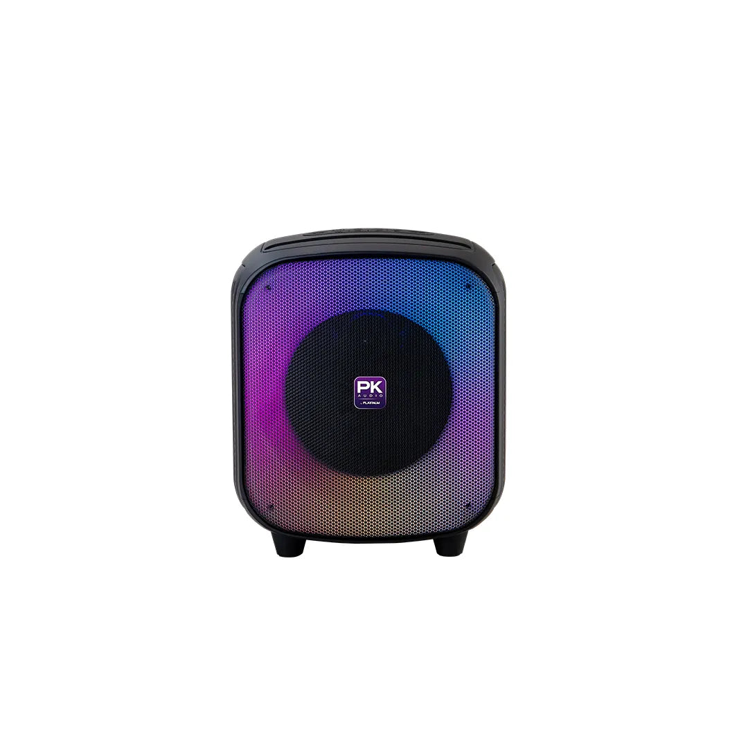 AK120 Bluetooth Party Speaker