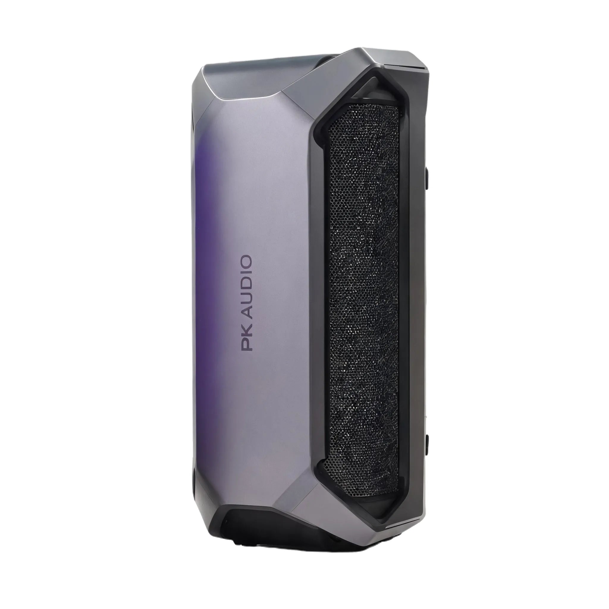 AK220 Bluetooth Party Speaker