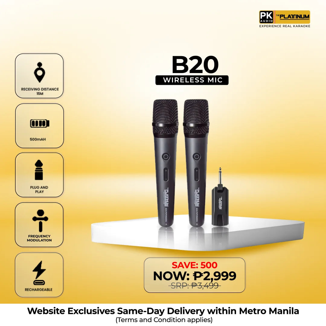 B20 Portable Wireless Microphone