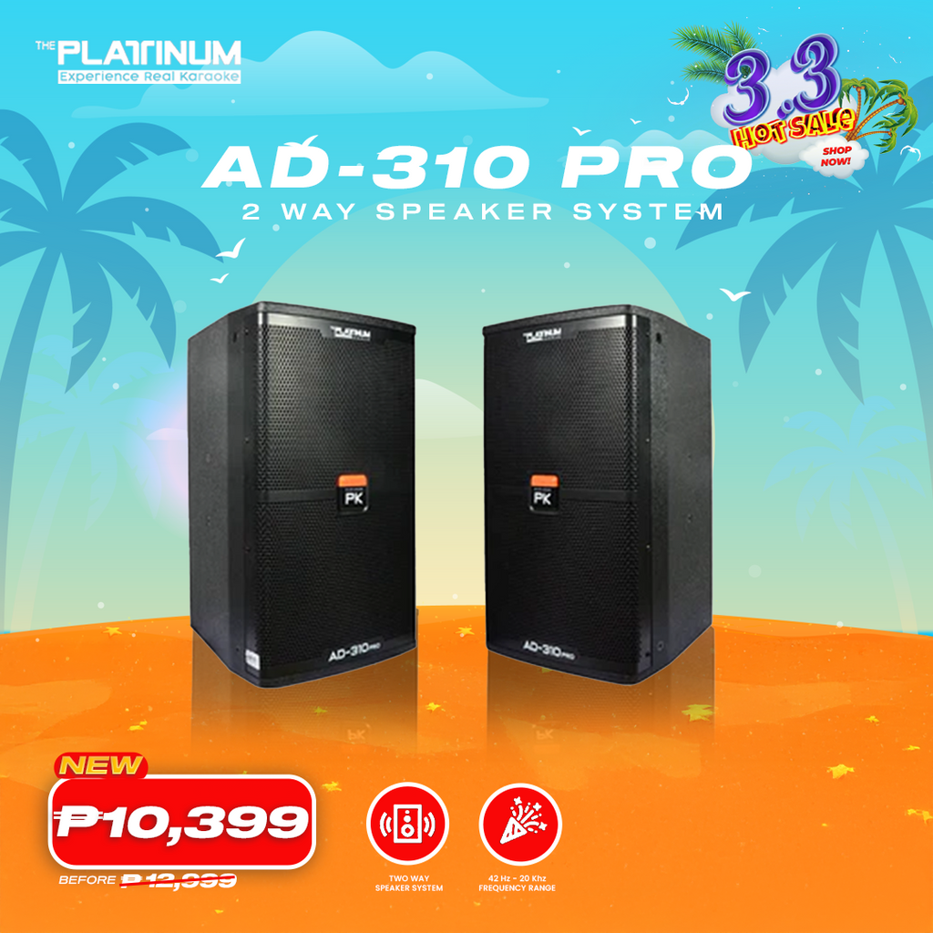 AD-310 PRO - 2 Way Speaker