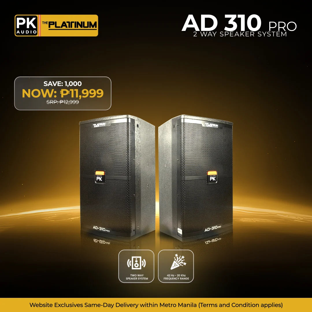 AD-310 PRO - 2 Way Speaker