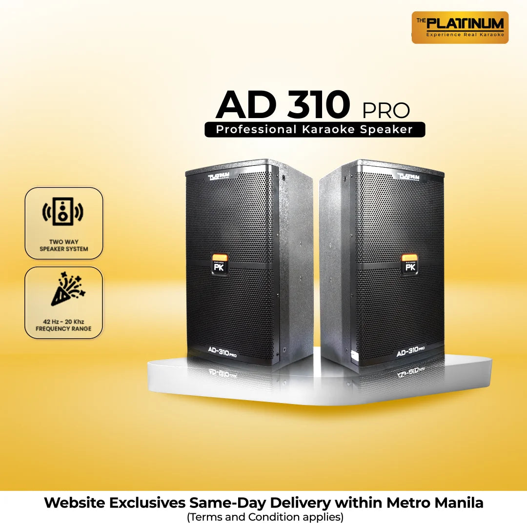 AD-310 Professional Karaoke Speaker