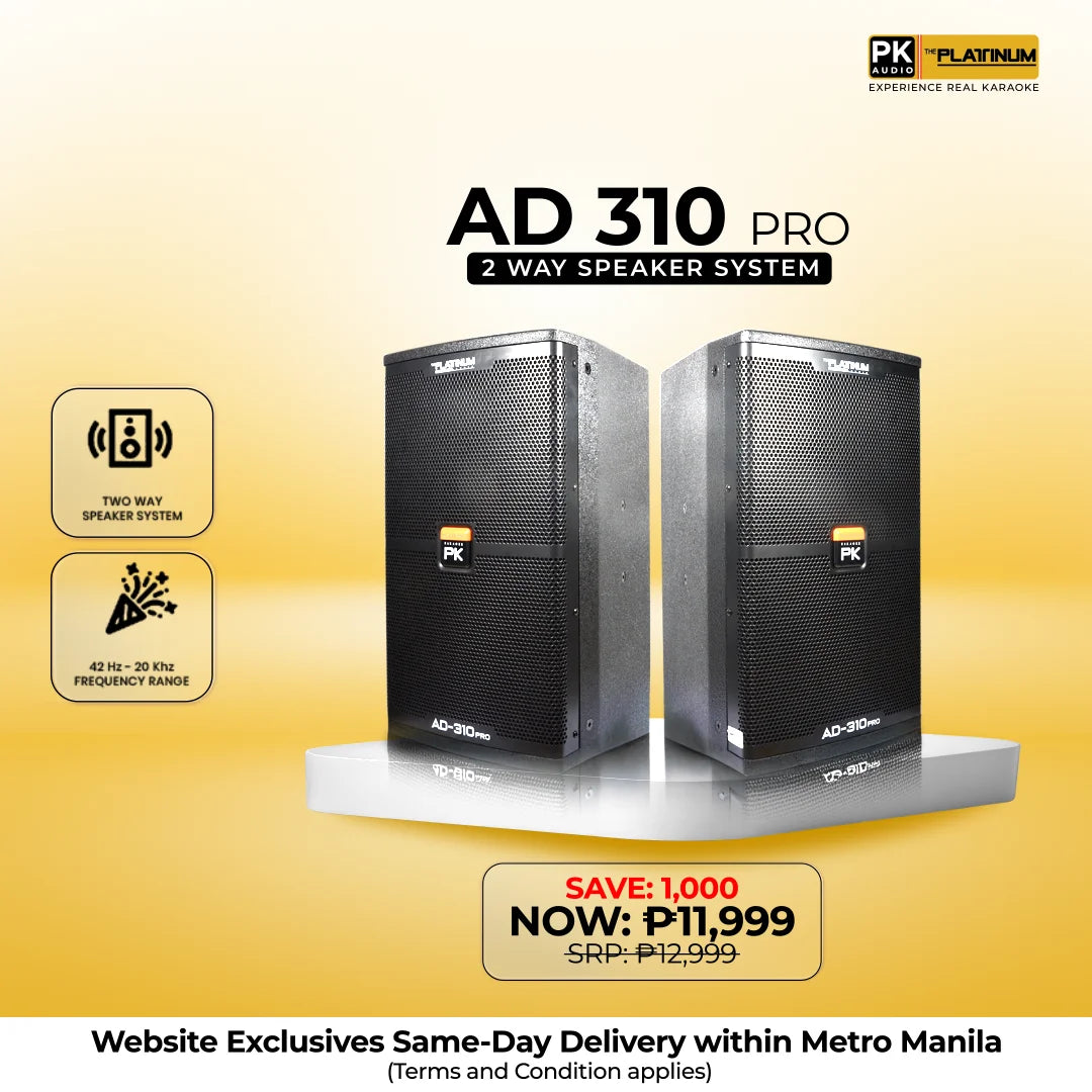 AD-310 PRO - 2 Way Speaker
