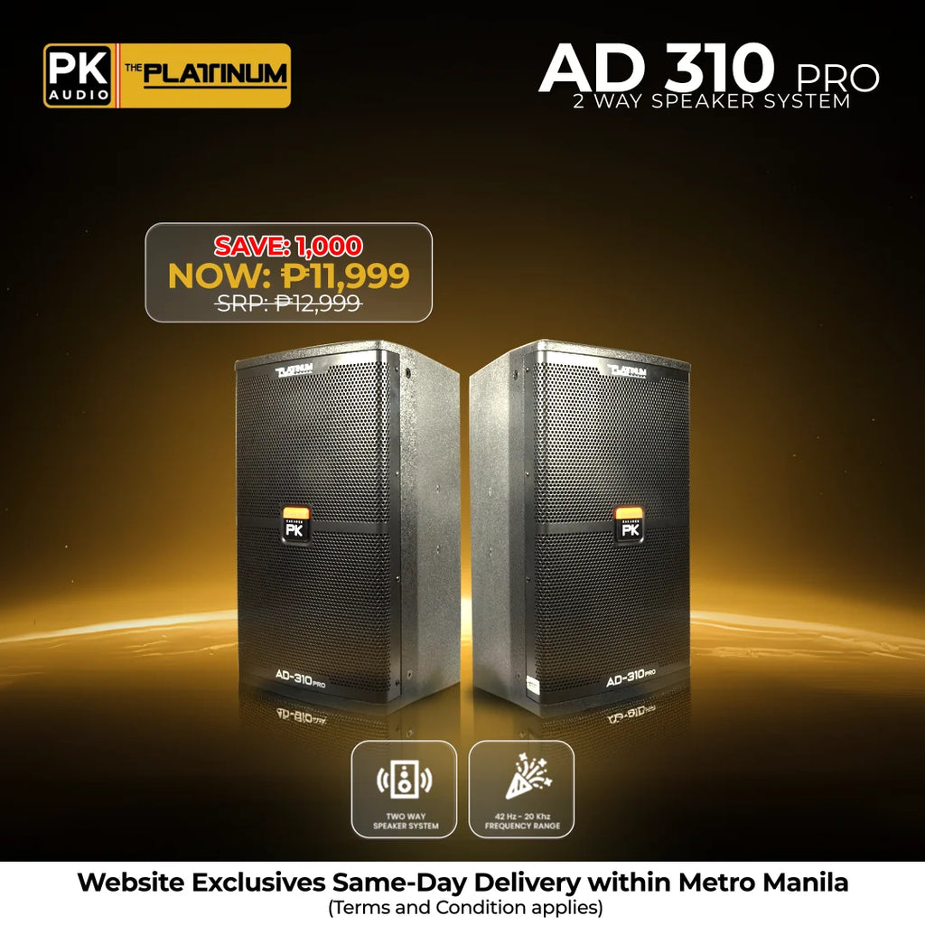 AD-310 PRO - 2 Way Speaker
