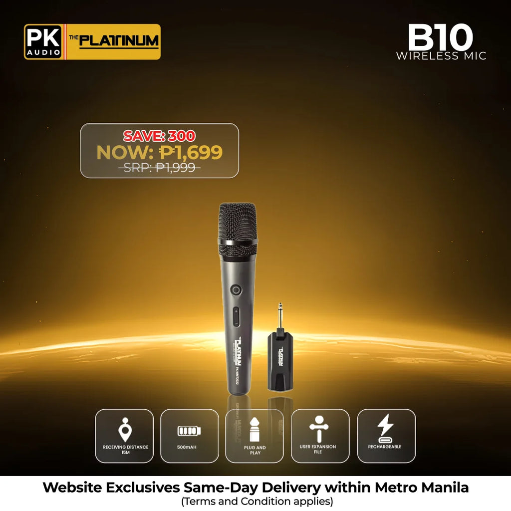 B10 Portable Wireless Microphone