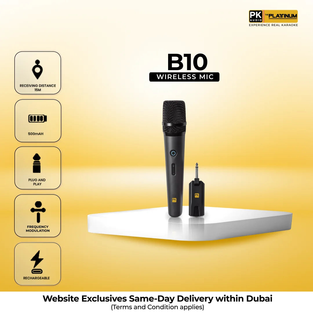 B10 Portable Wireless Microphone