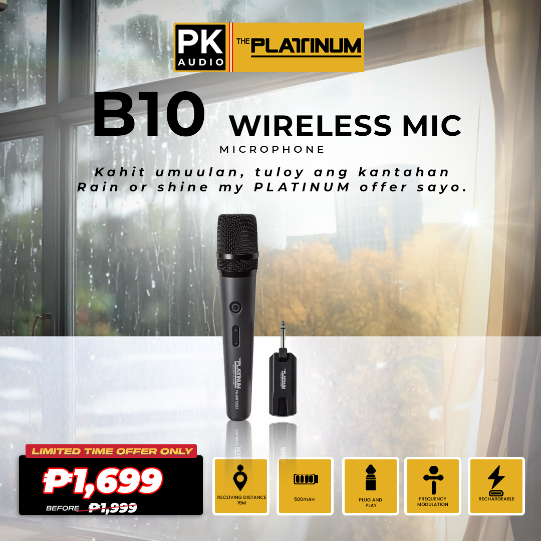 B10 Portable Wireless Microphone