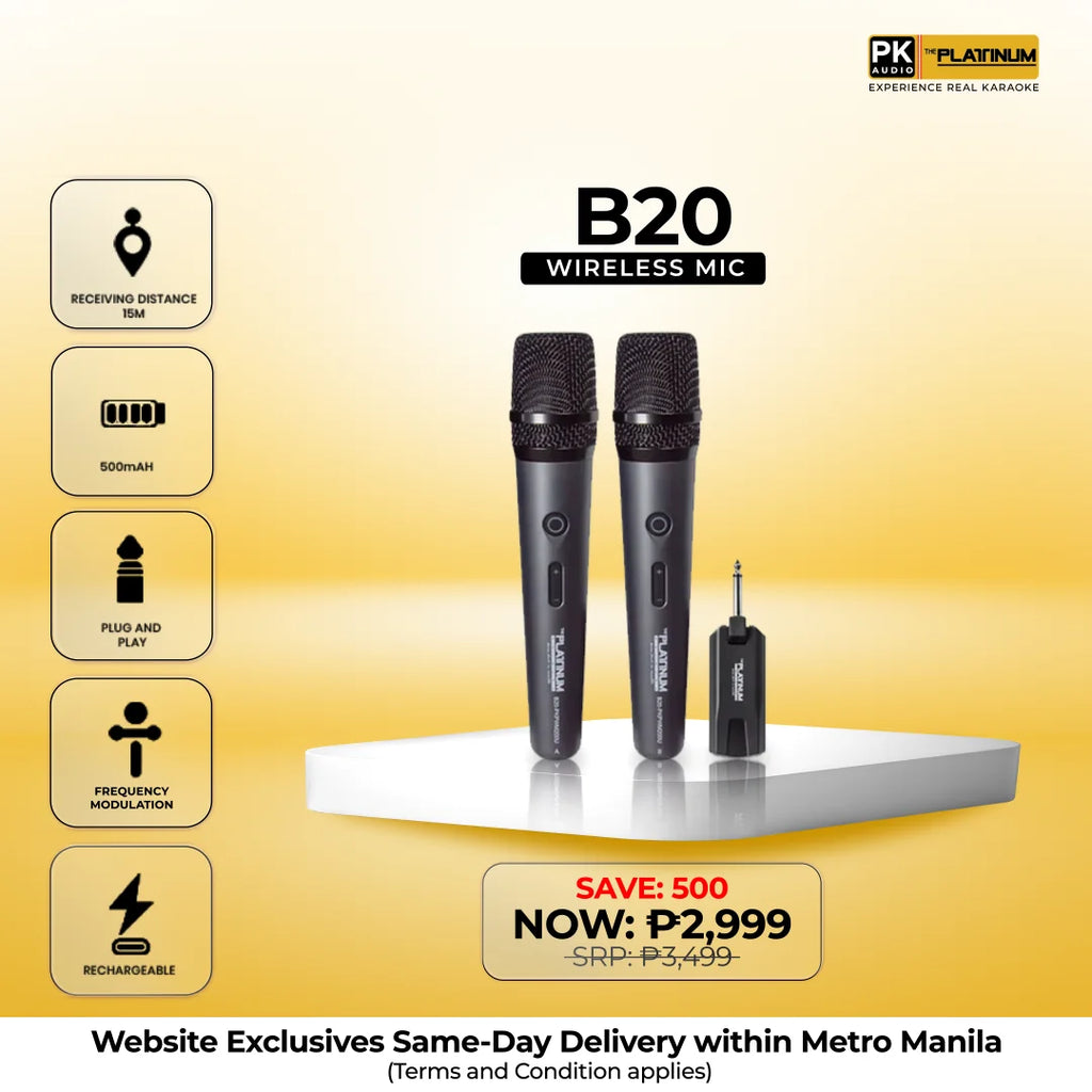 B20 Portable Wireless Microphone
