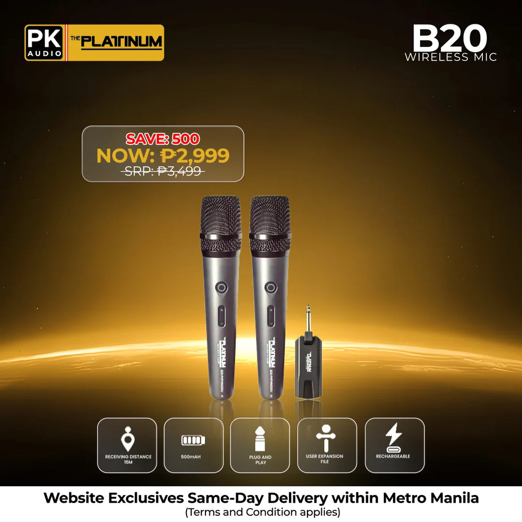 B20 Portable Wireless Microphone