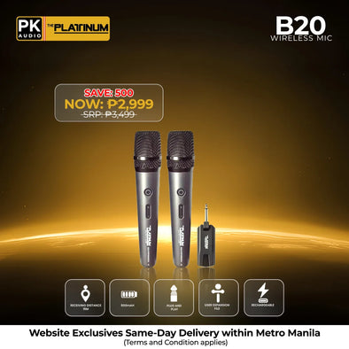 B20 Portable Wireless Microphone