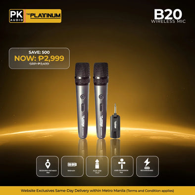 B20 Portable Wireless Microphone