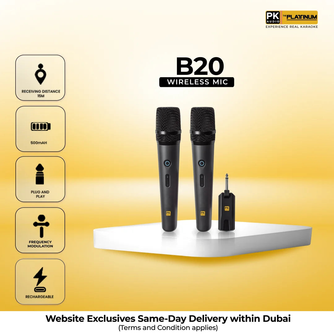 B20 Portable Wireless Microphone