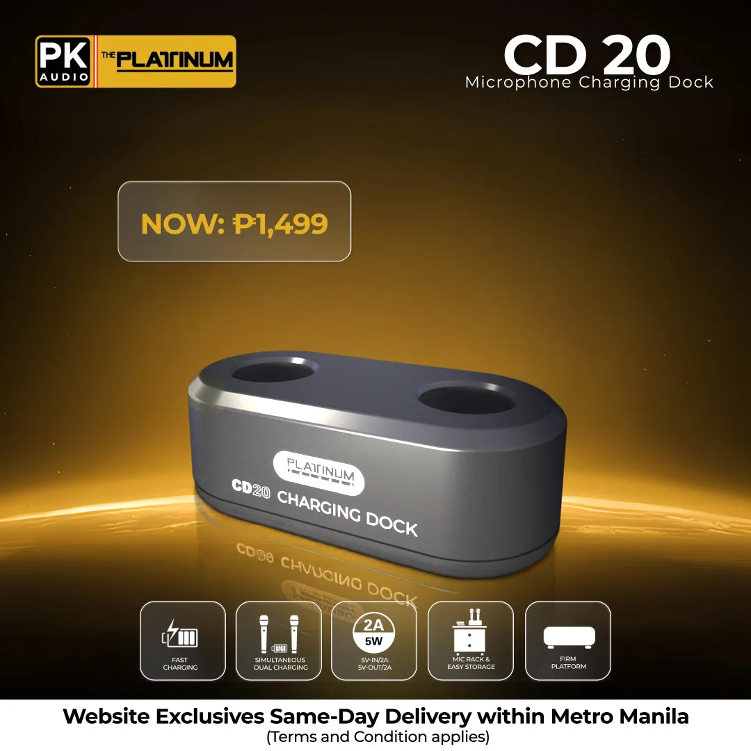 Platinum Karaoke CD20 - Microphone Charging Dock