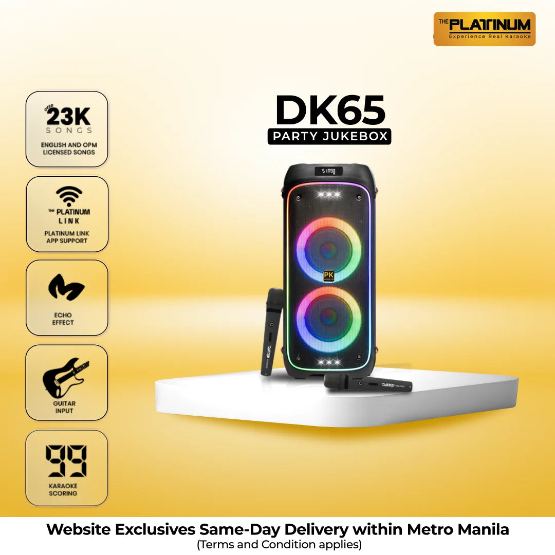 DK65 Duo Party Jukebox