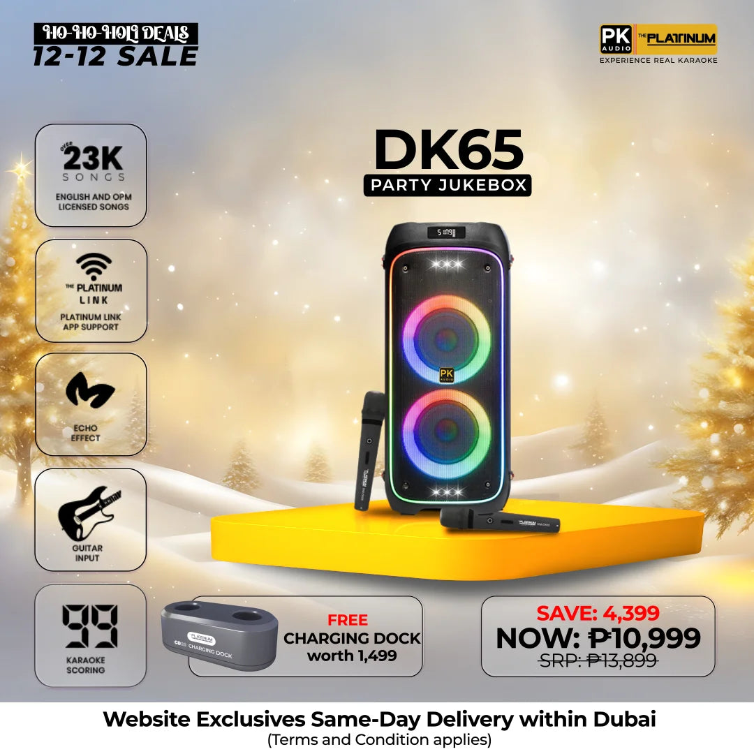 DK65 Duo Party Jukebox