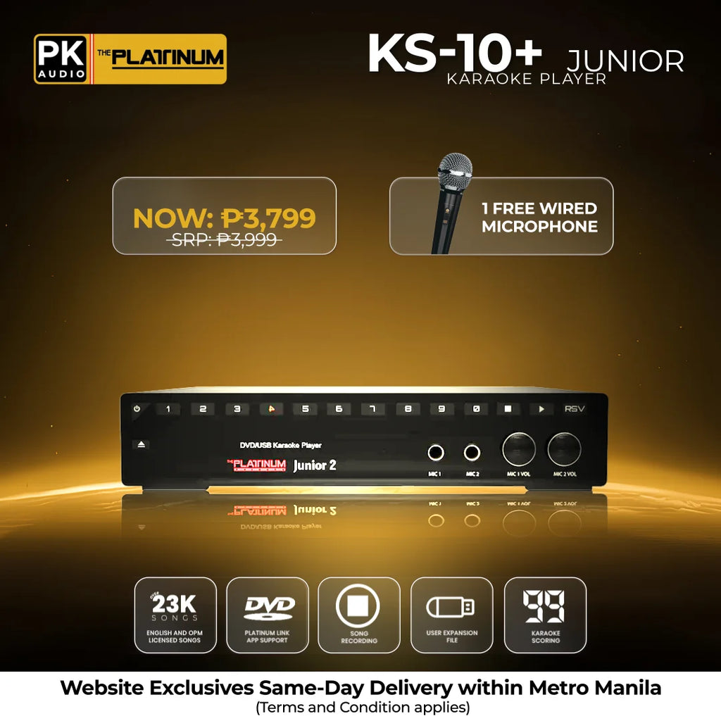 KS-10 with Free Wired Microphone