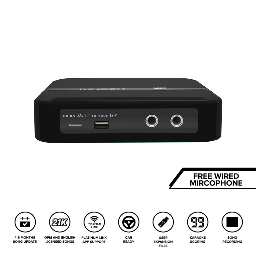 KS-100 Minibox with Free Wired Microphone