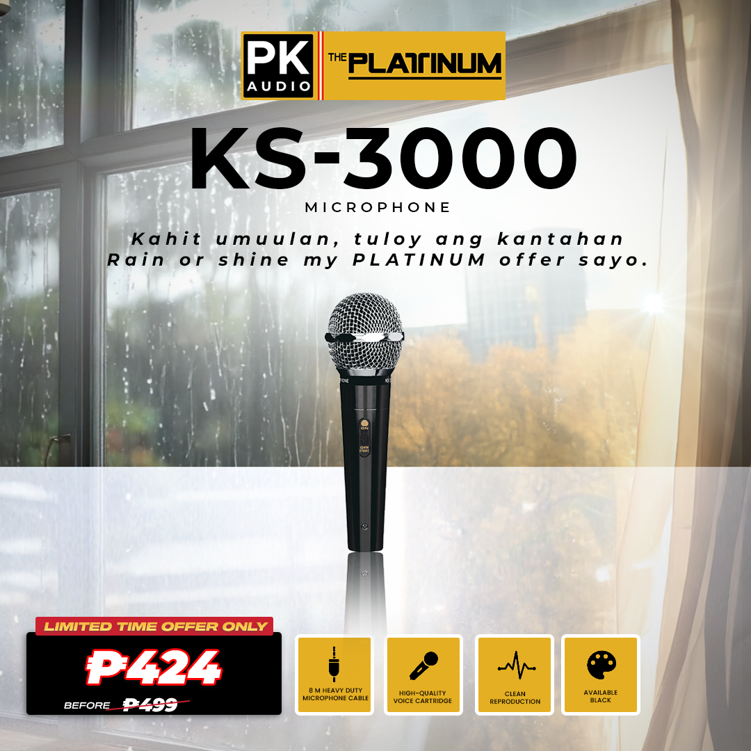 KS-3000 Wired Microphone