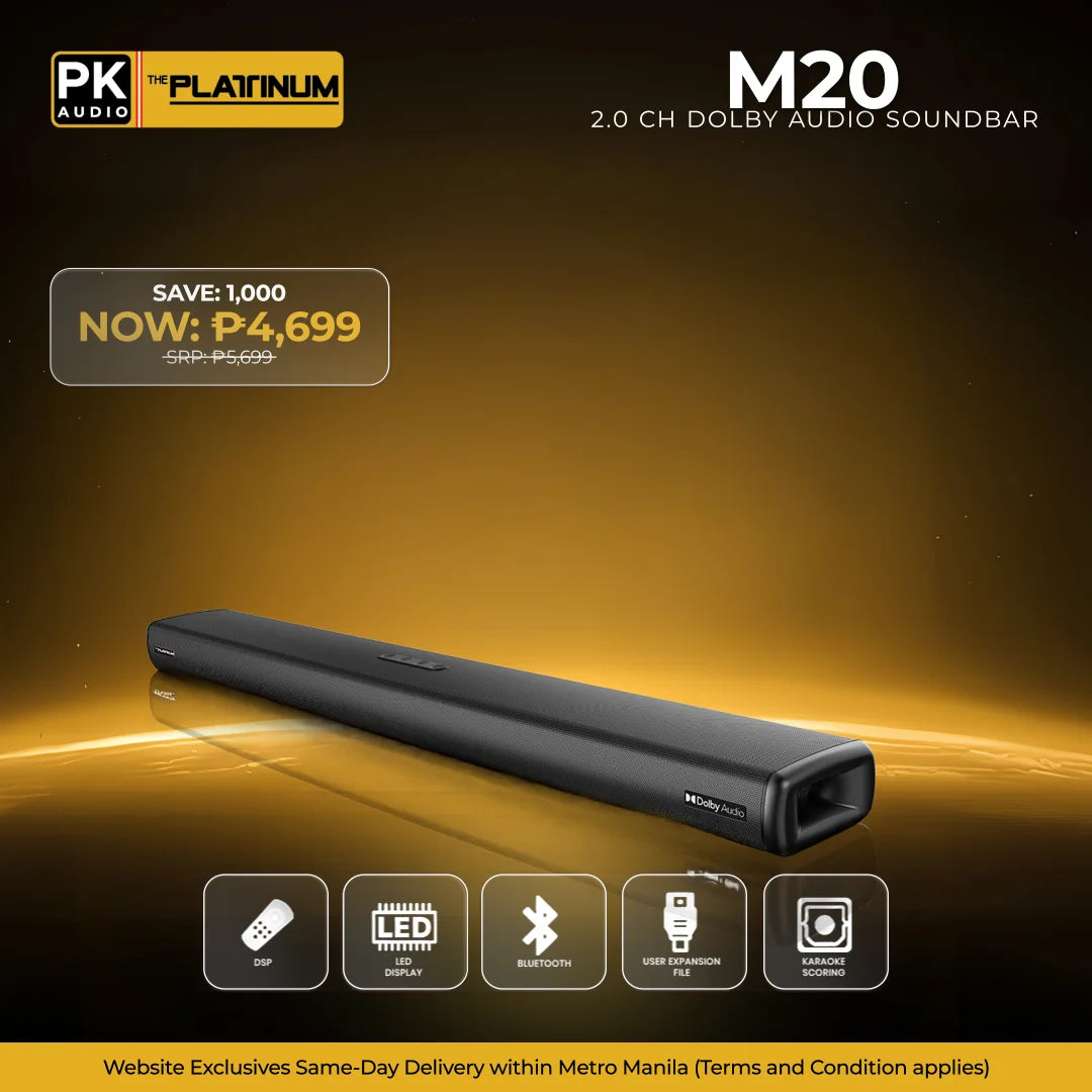 M20 2.0 CH Dolby Audio Soundbar