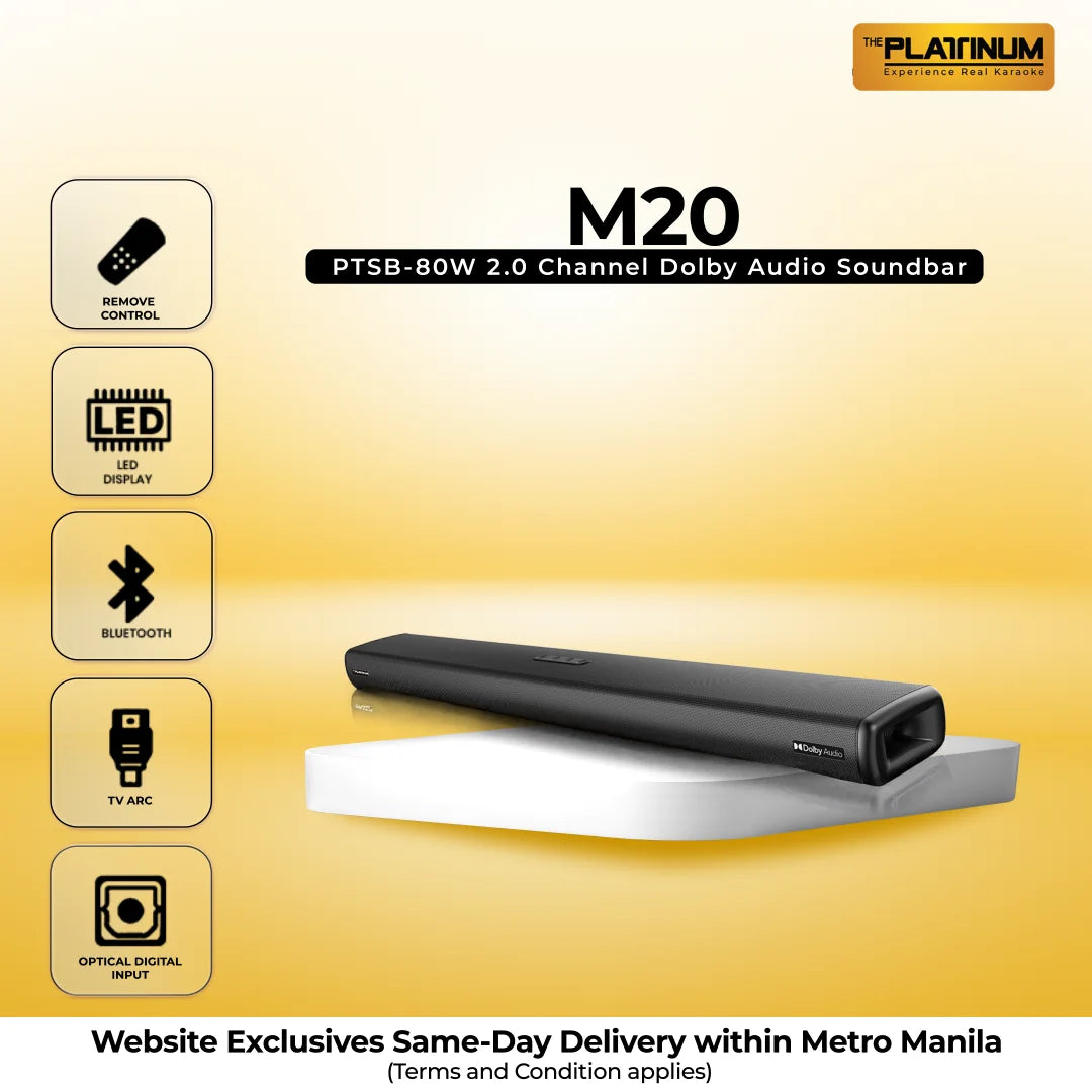 M20 PTSB-80W 2.0 Channel Dolby Audio Soundbar