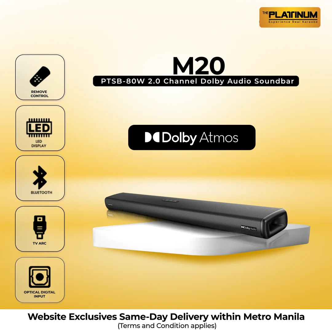 M20 PTSB-80W 2.0 Channel Dolby Audio Soundbar