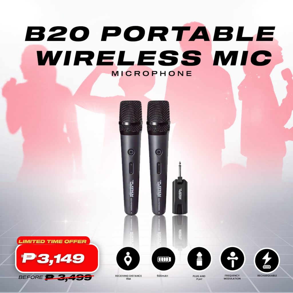 B20 Portable Wireless Microphone