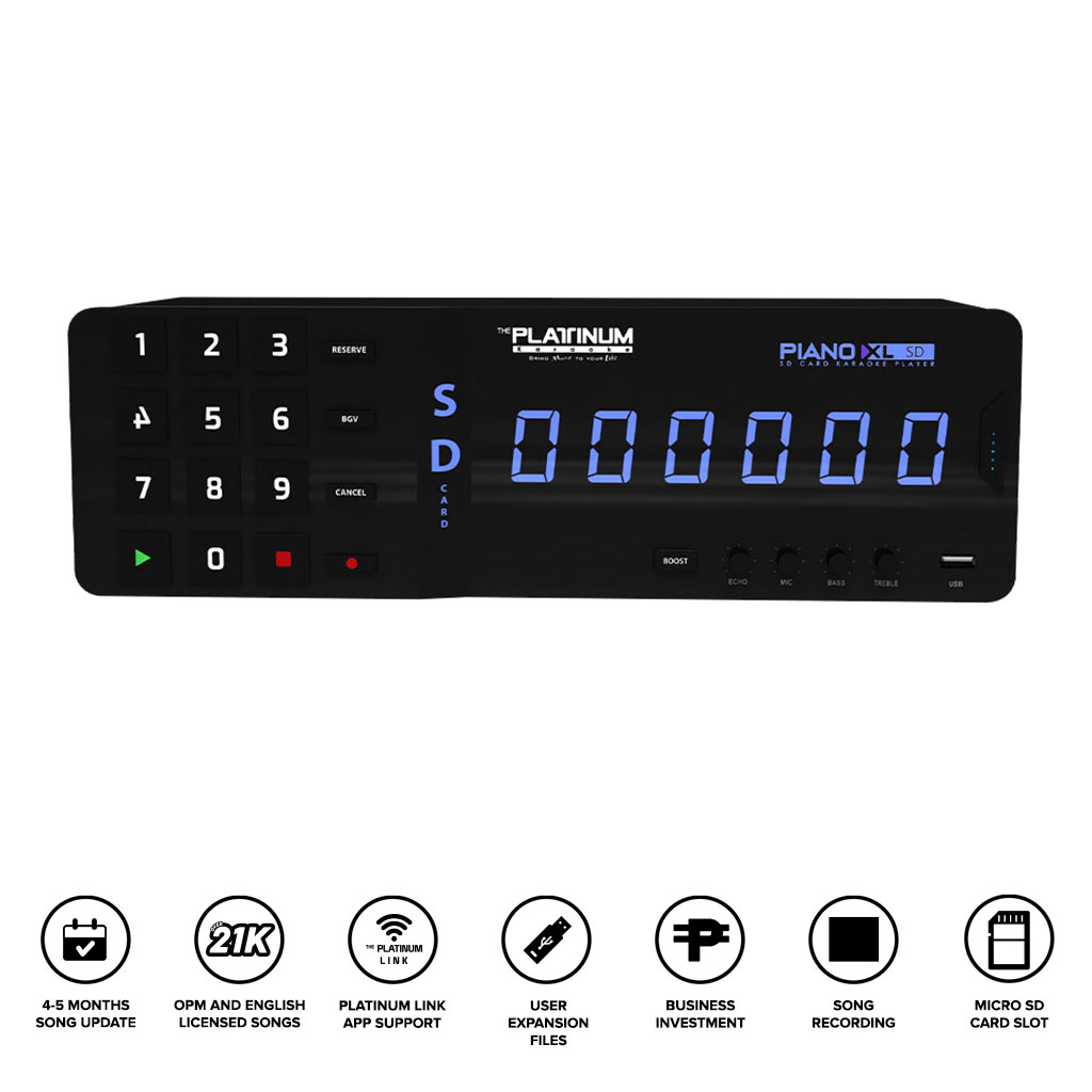 Piano XL SD + AD-310 PRO + BOSS MA 400 PRO + B20 - Bundle