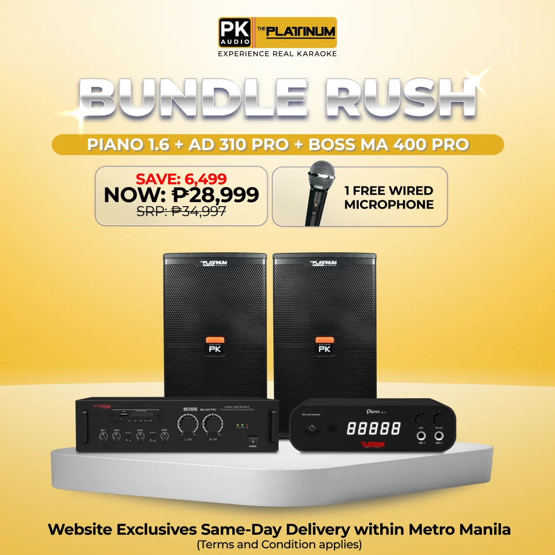 Piano 1.6 + AD-310 PRO + BOSS MA 400 PRO - Bundle Rush