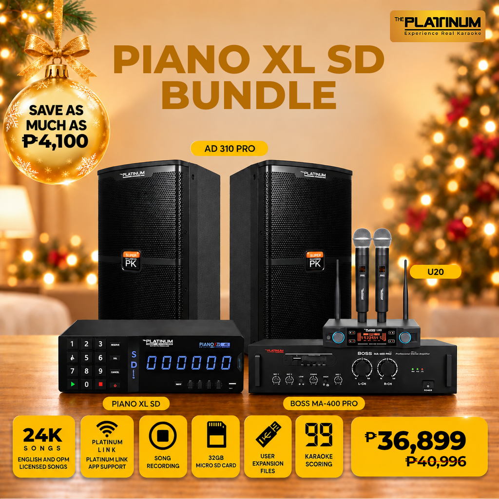 Piano XL SD + AD-310 PRO + BOSS MA 400 PRO + U20 - Bundle