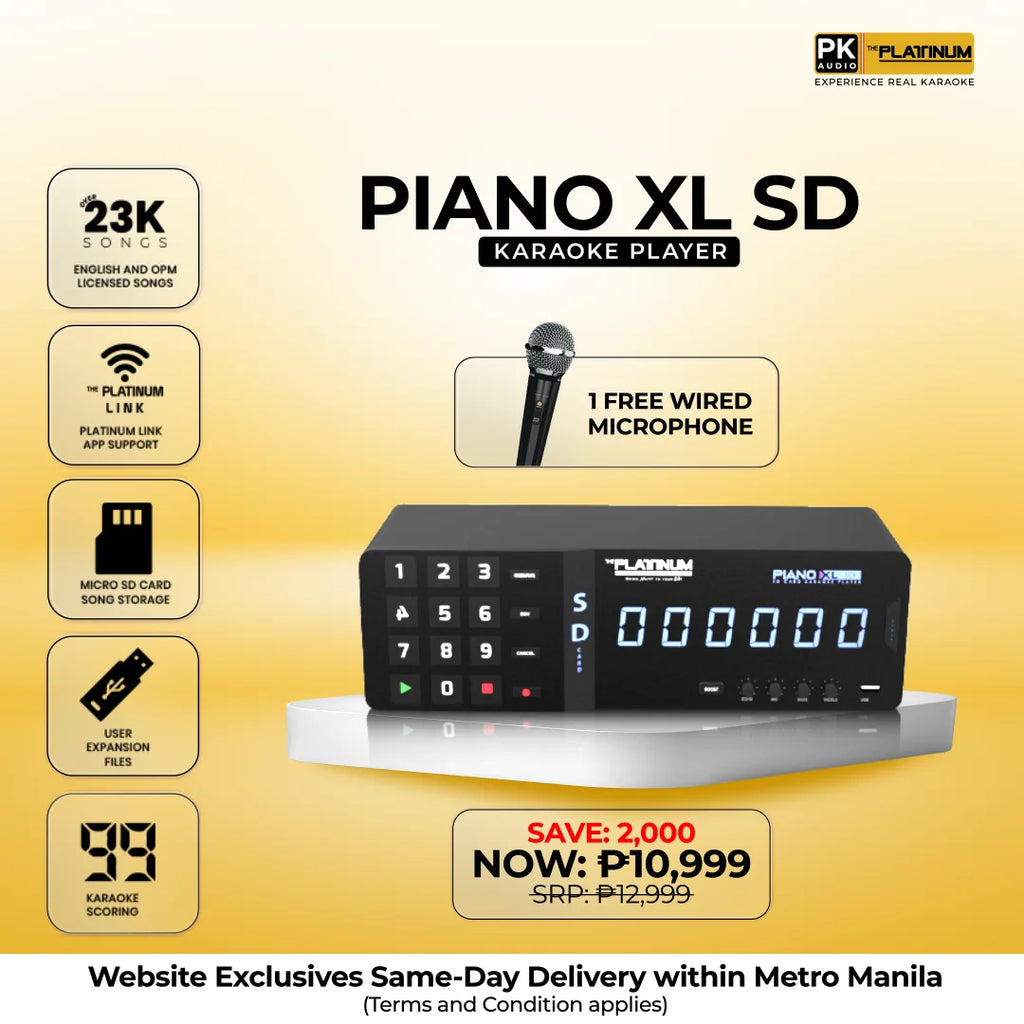 Piano XL SD Player with Free Wired Mic