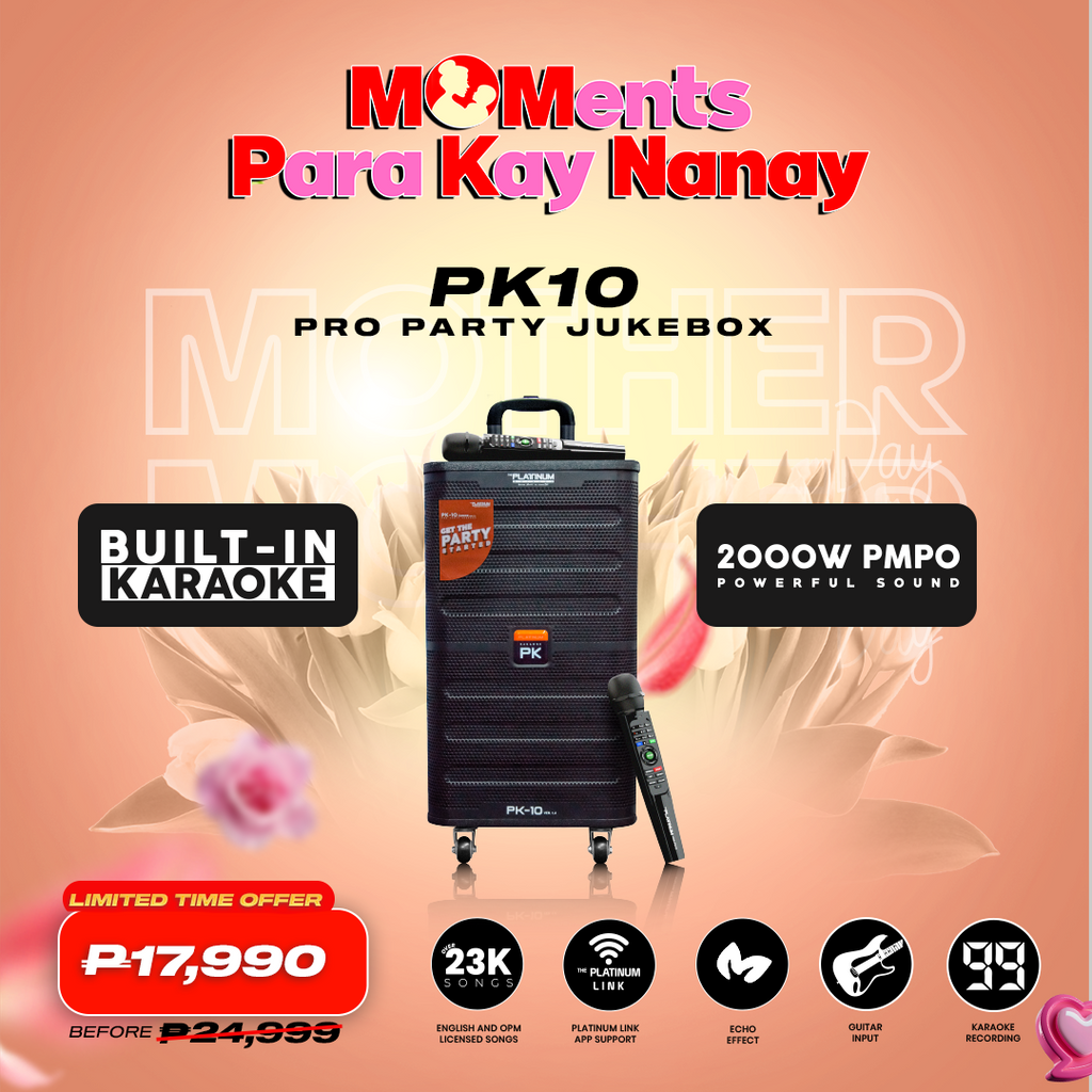 PK10 TROLLEY SPEAKER