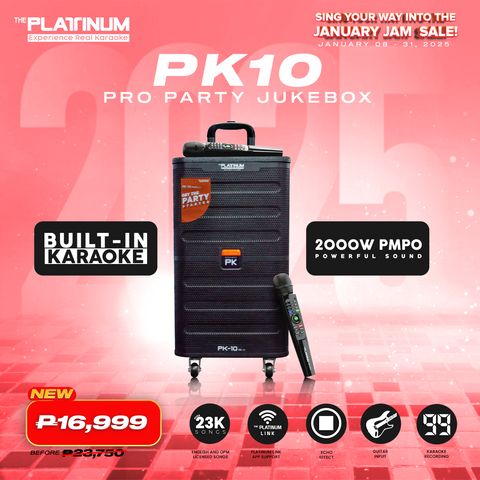 PK10 Built-in Karaoke Pro Party Jukebox