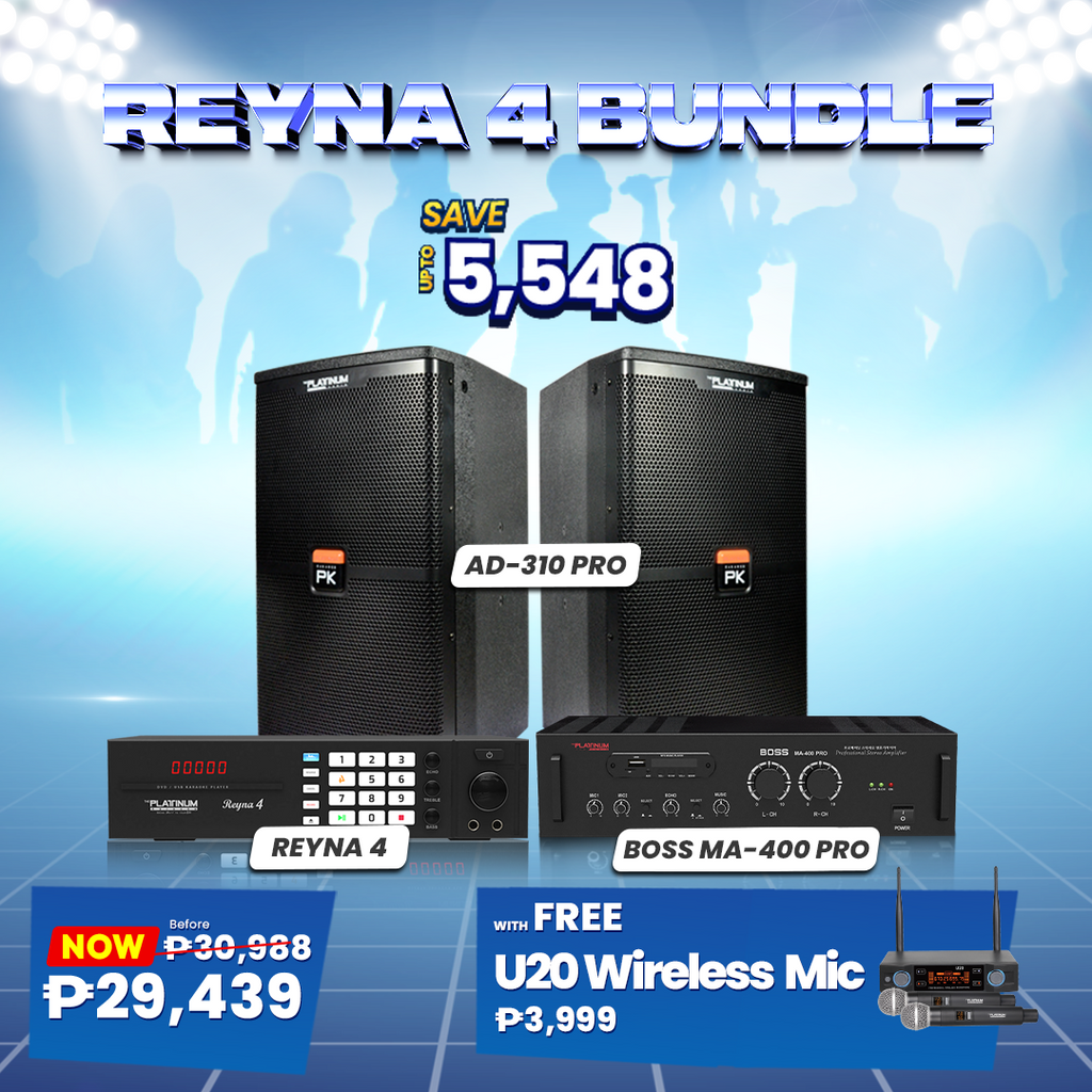 Reyna 4 Bundle with AD-310 Pro, BOSS MA-400 Pro and U20