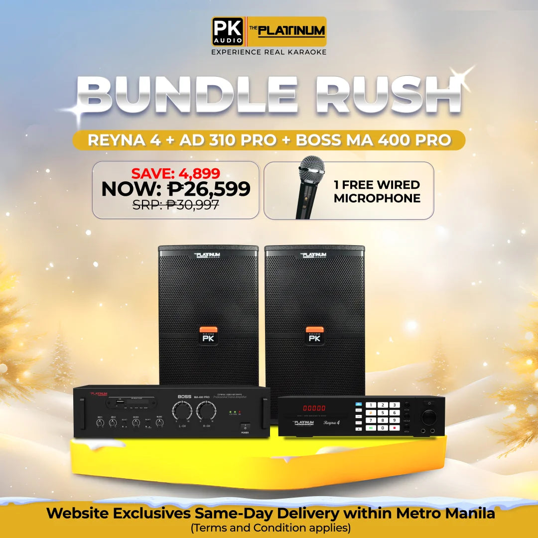 Reyna 4 + AD-310 PRO + BOSS MA 400 PRO - Bundle Rush
