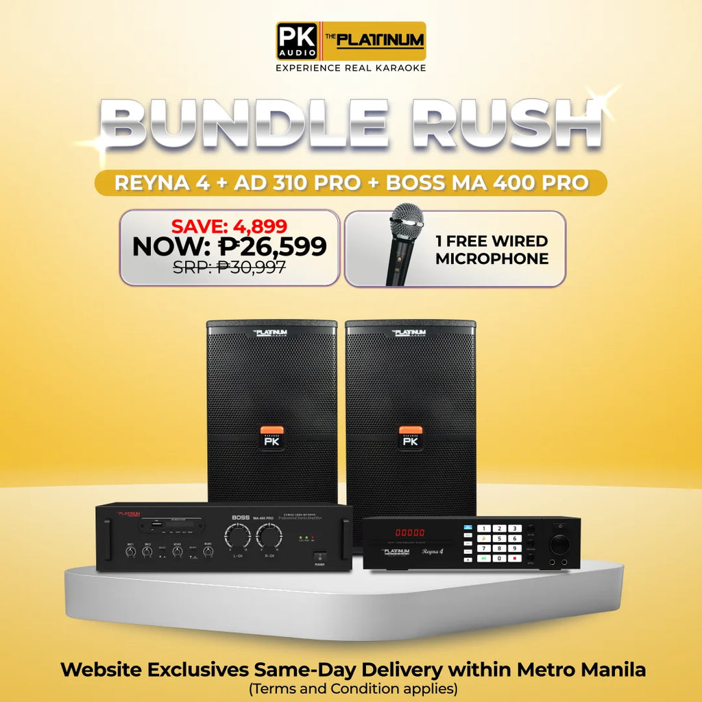 Reyna 4 + AD-310 PRO + BOSS MA 400 PRO - Bundle Rush
