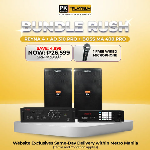 Reyna 4 + AD-310 PRO + BOSS MA 400 PRO - Bundle Rush