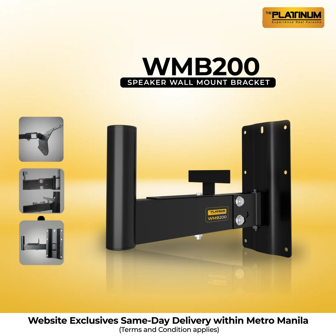 Platinum Karaoke WMB200 heavy duty speaker wall mount bracket [1 pair]